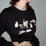Kitten Boxy T-shirt